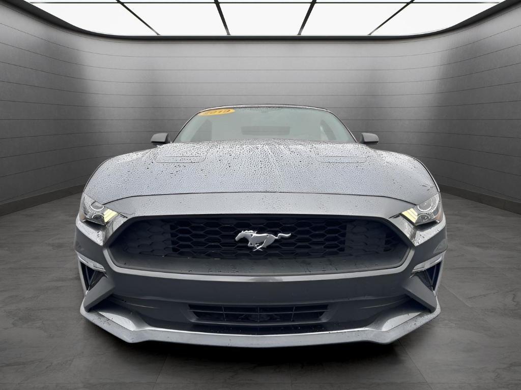 used 2019 Ford Mustang car, priced at $19,499