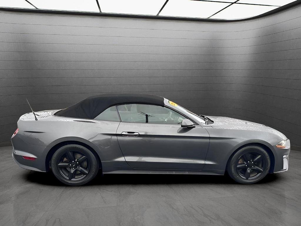 used 2019 Ford Mustang car, priced at $19,499