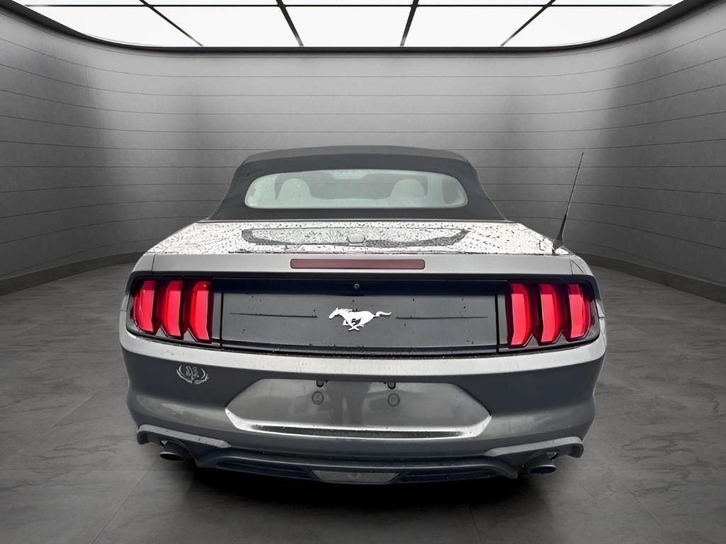 used 2019 Ford Mustang car, priced at $19,499