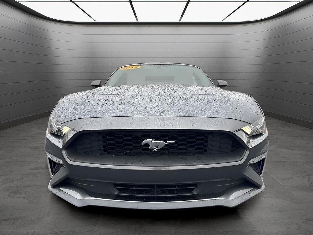 used 2019 Ford Mustang car, priced at $19,499