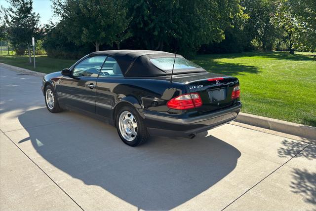 used 1999 Mercedes-Benz CLK-Class car, priced at $7,950