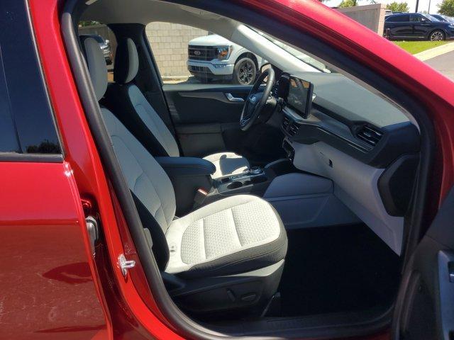 used 2023 Ford Escape car, priced at $28,995