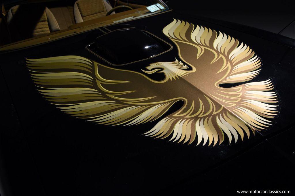 used 1979 Pontiac Firebird car, priced at $69,900