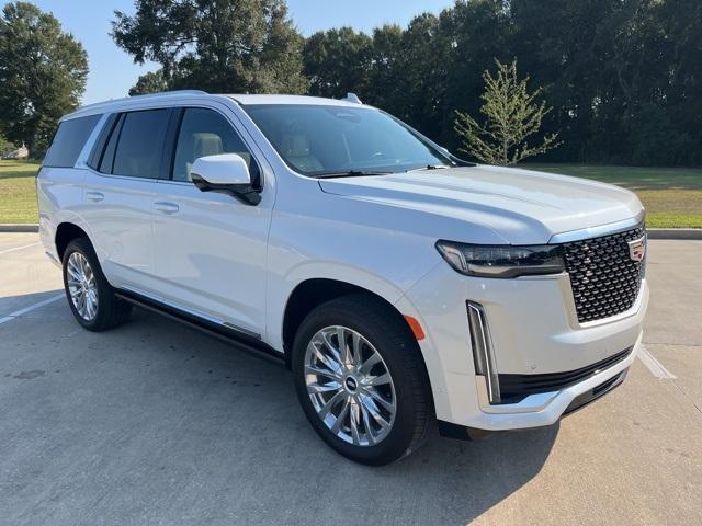 used 2024 Cadillac Escalade car