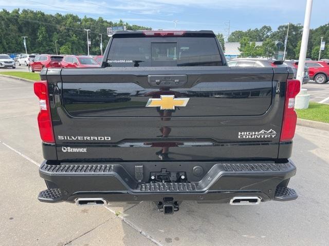 new 2025 Chevrolet Silverado 1500 car, priced at $74,394