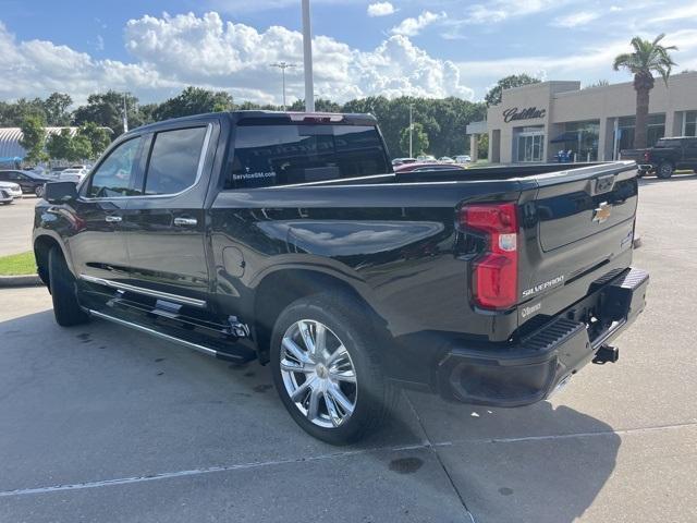 new 2025 Chevrolet Silverado 1500 car, priced at $60,294