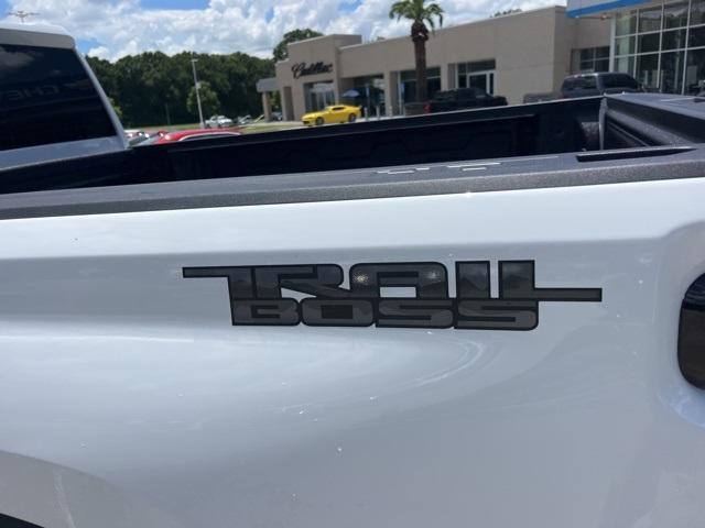 new 2025 Chevrolet Silverado 2500 car, priced at $74,159