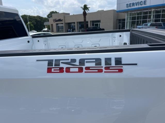 new 2025 Chevrolet Silverado 1500 car, priced at $53,069