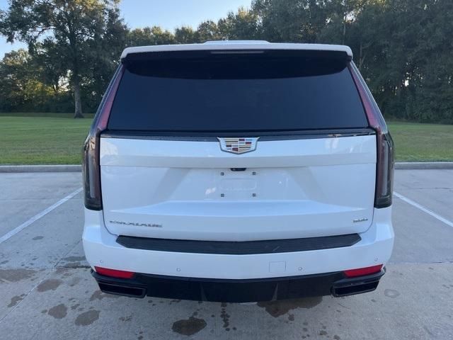 used 2024 Cadillac Escalade car, priced at $95,990