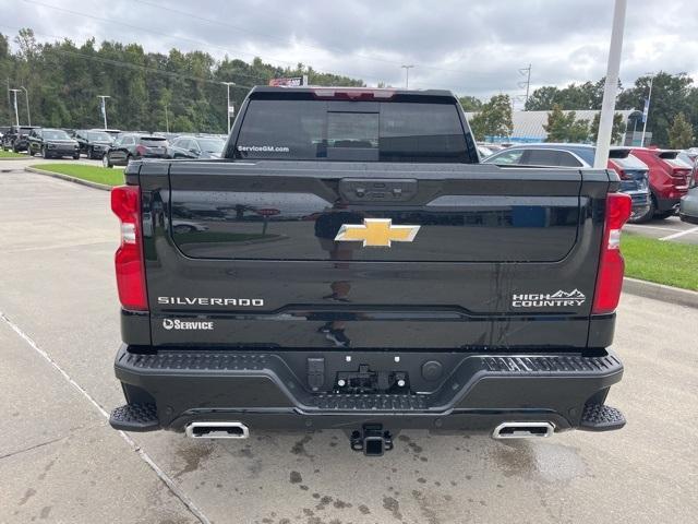 new 2025 Chevrolet Silverado 1500 car, priced at $69,405