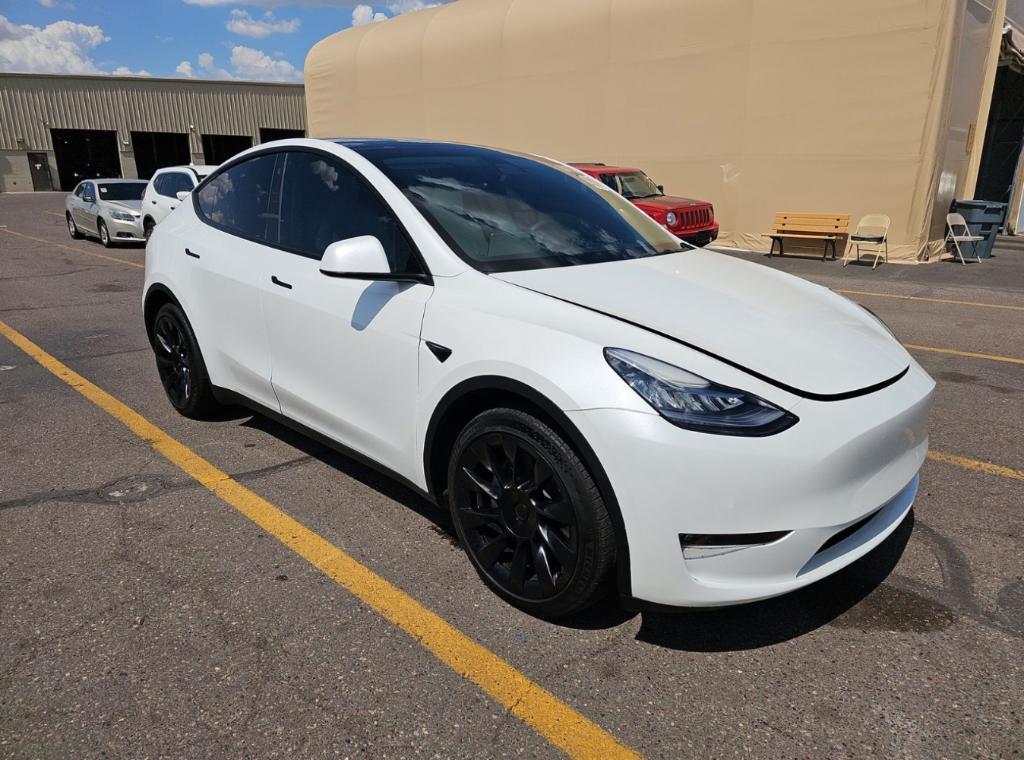 used 2022 Tesla Model Y car