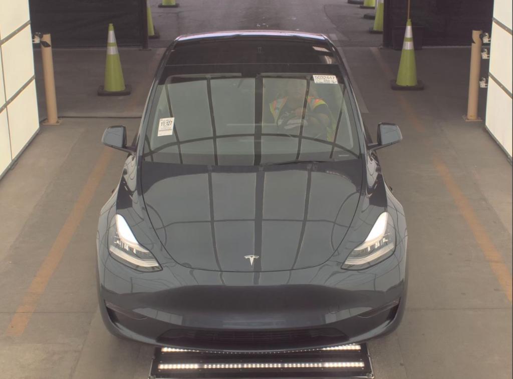 used 2021 Tesla Model Y car