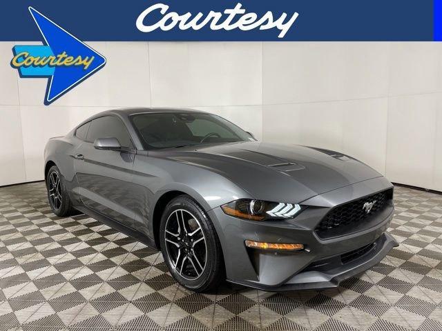 used 2022 Ford Mustang car, priced at $26,000