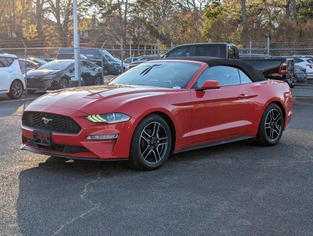 used 2021 Ford Mustang car