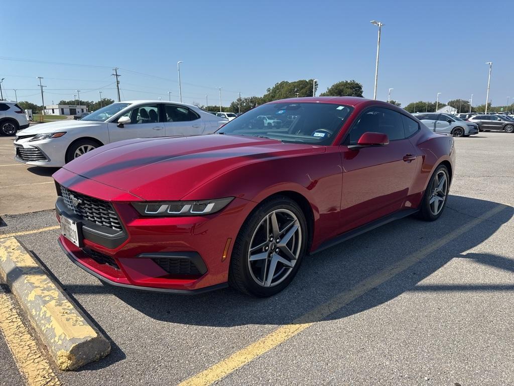 used 2024 Ford Mustang car