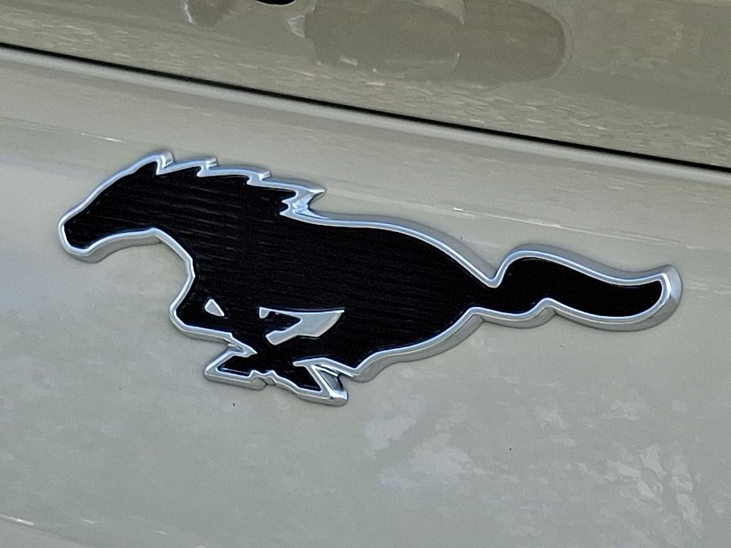 new 2025 Ford Mustang Mach-E car, priced at $47,985