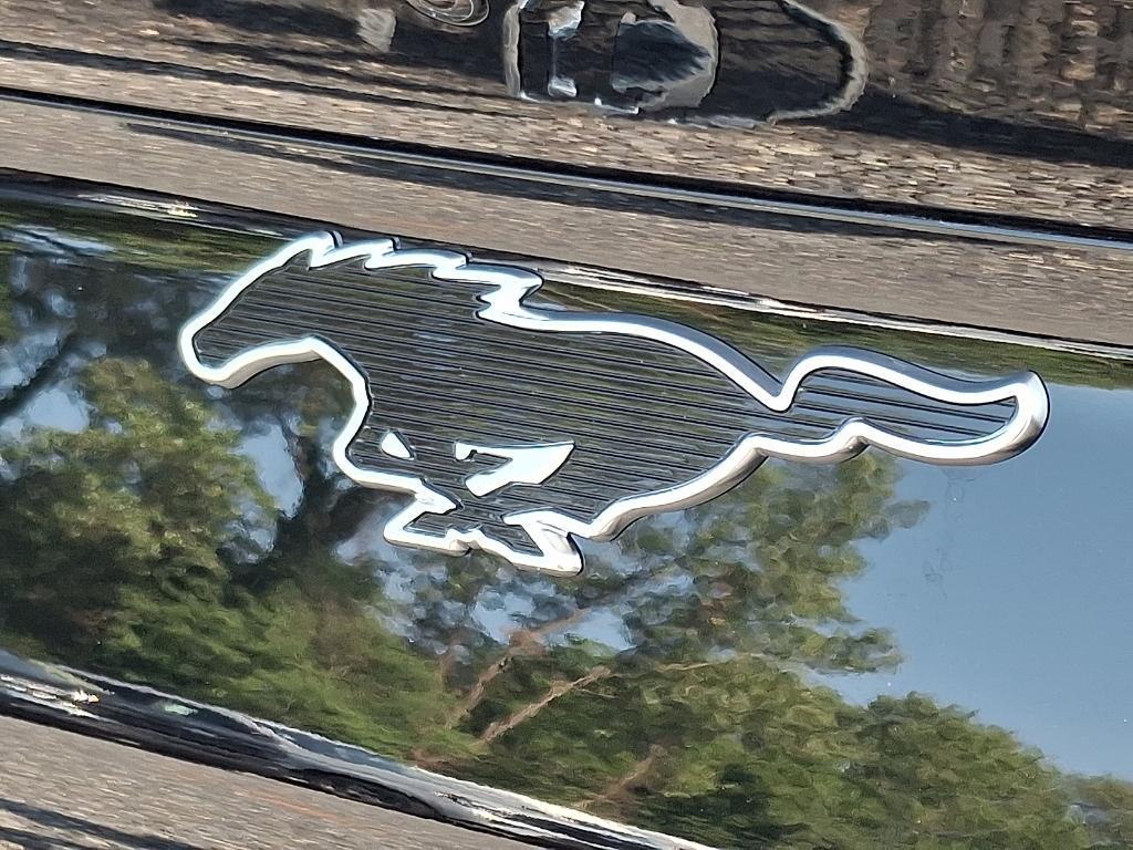 new 2025 Ford Mustang Mach-E car, priced at $48,085