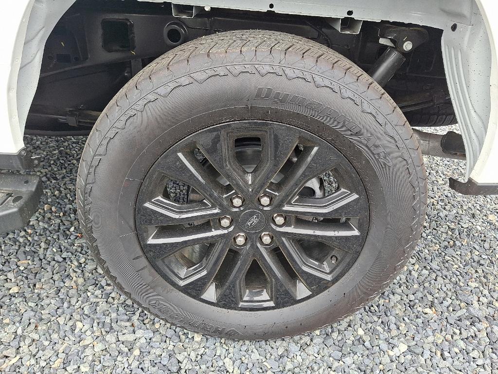 new 2025 Ford F-150 car