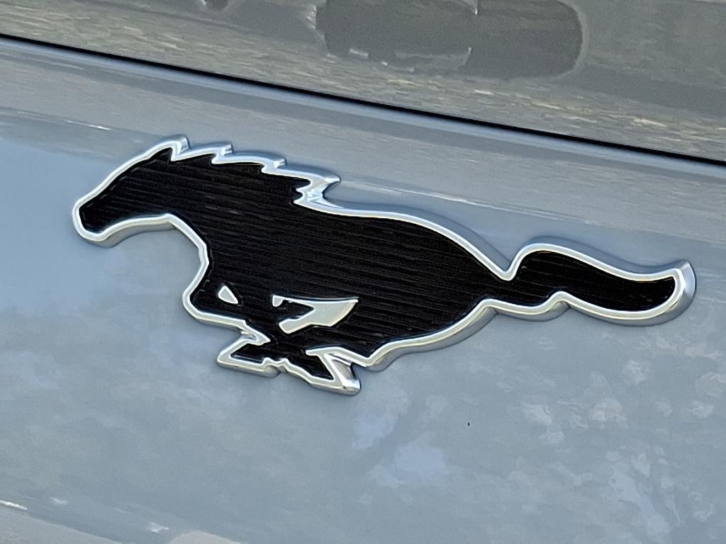 new 2025 Ford Mustang Mach-E car, priced at $48,980