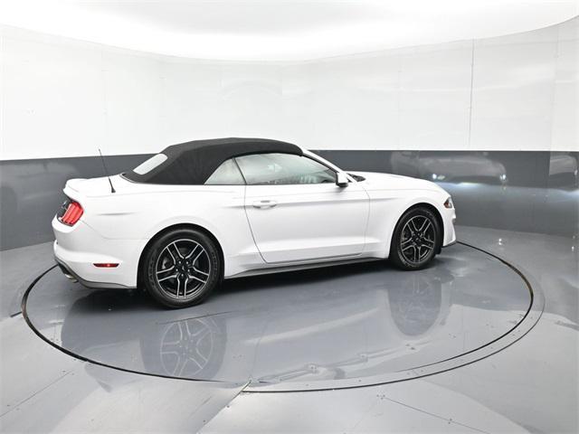 used 2020 Ford Mustang car, priced at $19,900