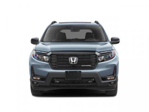 new 2025 Honda Passport car, priced at $50,320