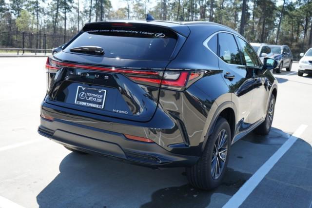 used 2024 Lexus NX 250 car