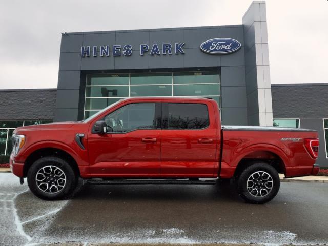 used 2023 Ford F-150 car, priced at $44,995