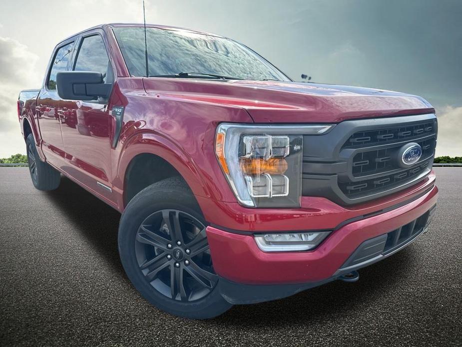 used 2021 Ford F-150 car, priced at $28,900