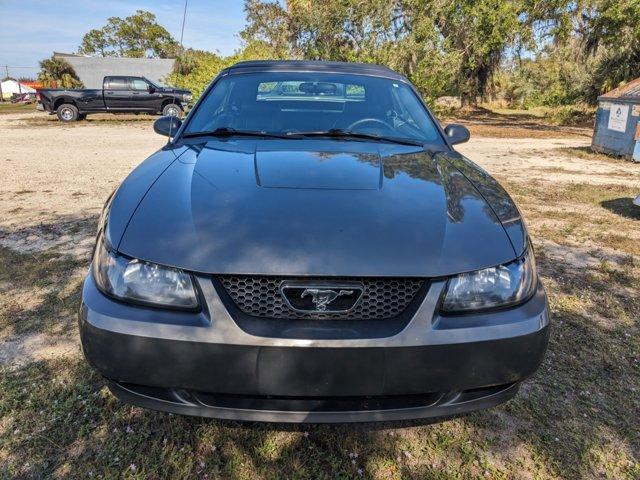 used 2004 Ford Mustang car, priced at $13,784