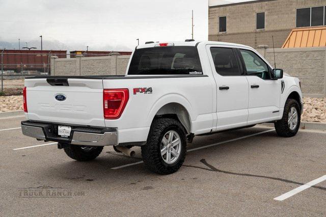 used 2023 Ford F-150 car, priced at $43,995