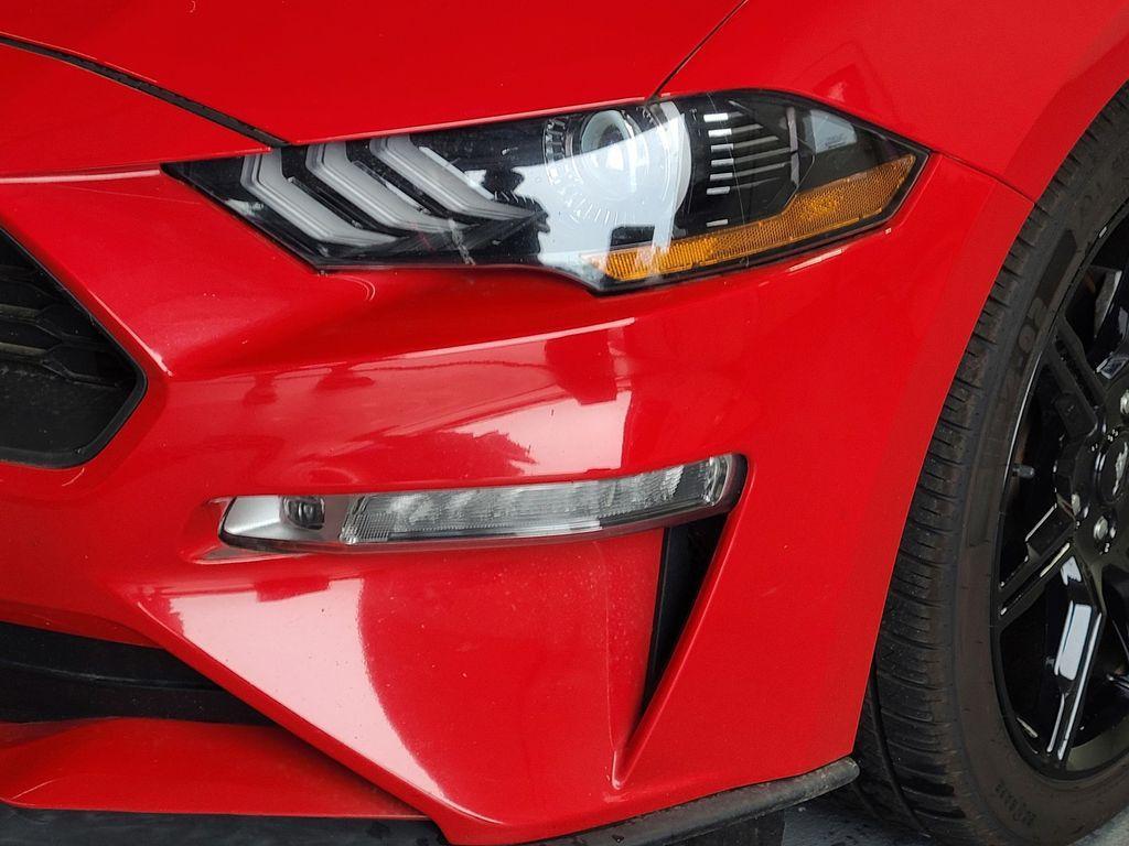 used 2019 Ford Mustang car, priced at $23,991