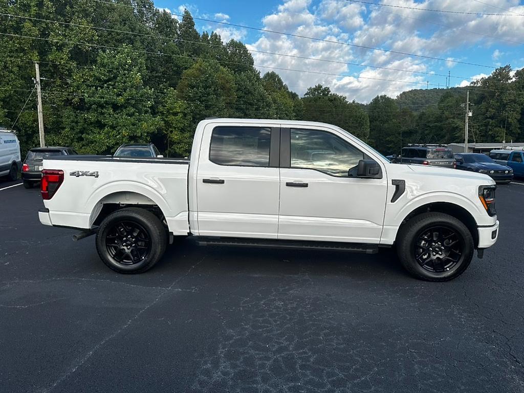 new 2025 Ford F-150 car, priced at $48,975