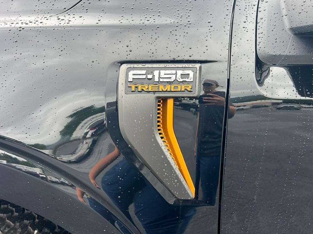 new 2025 Ford F-150 car, priced at $64,465