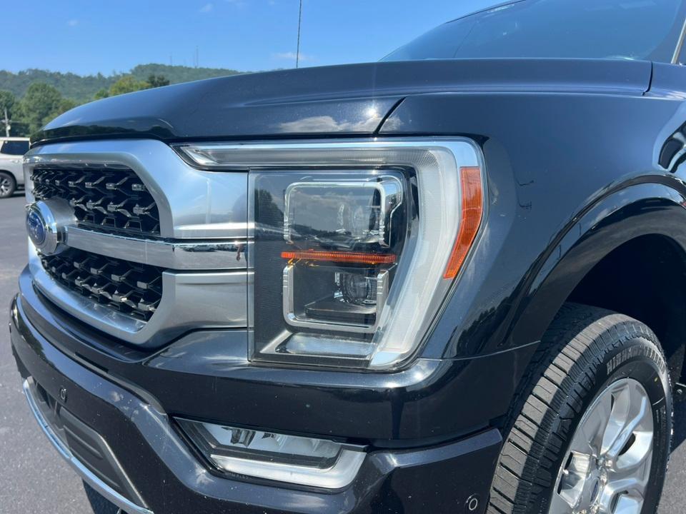 used 2021 Ford F-150 car, priced at $43,899