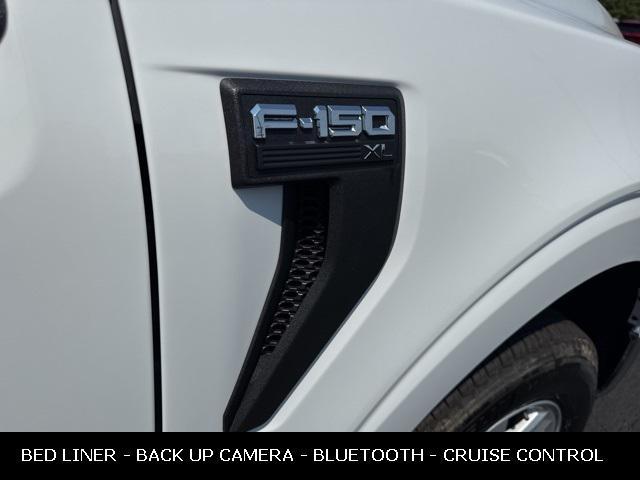 new 2025 Ford F-150 car