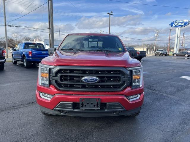 used 2021 Ford F-150 car, priced at $36,500