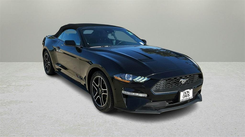 used 2022 Ford Mustang car, priced at $24,000