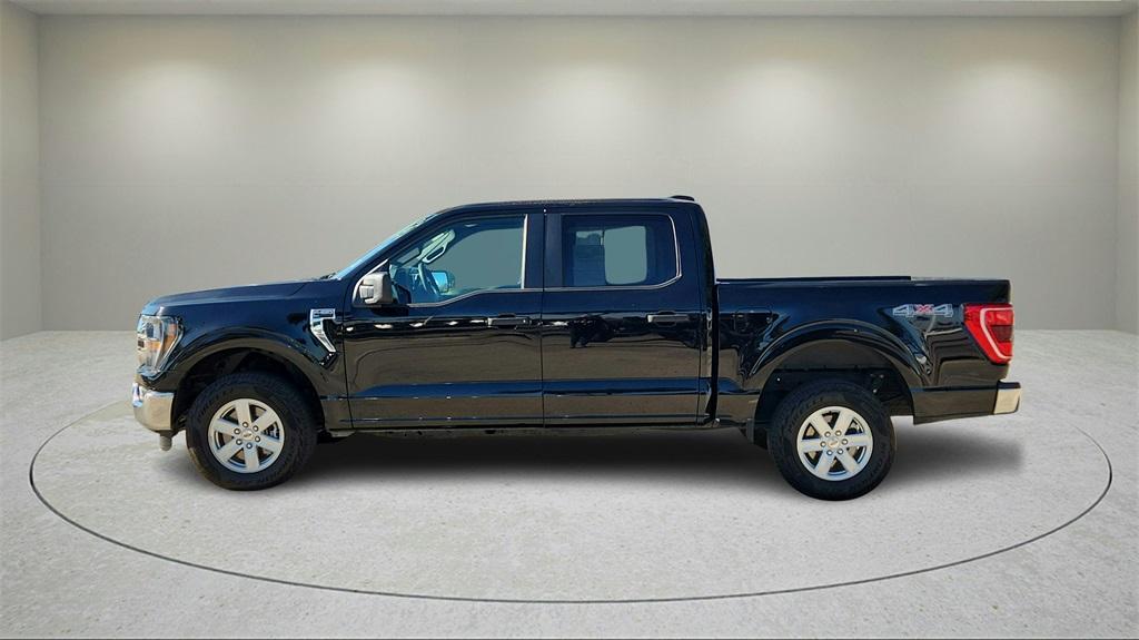 used 2023 Ford F-150 car, priced at $37,000