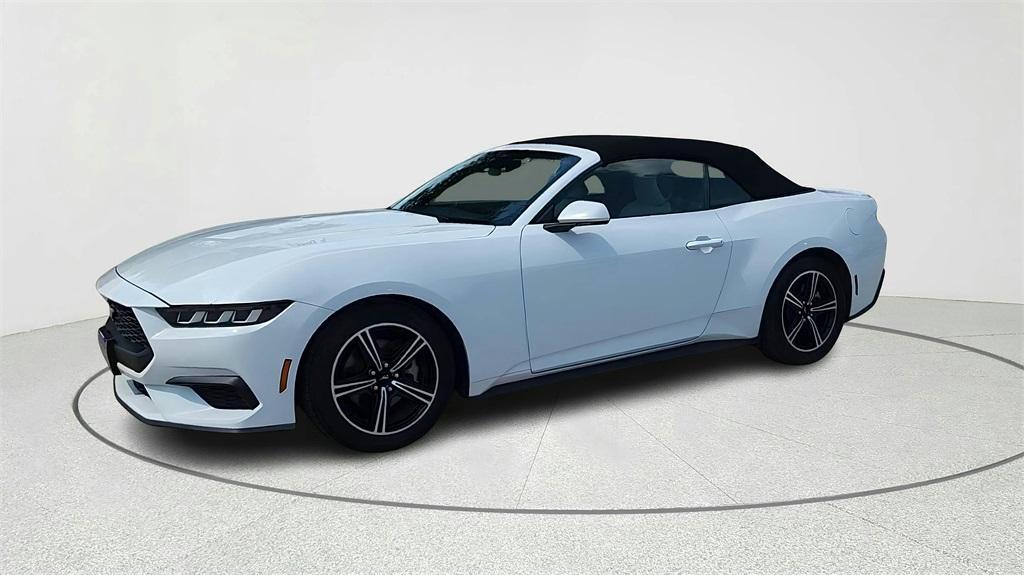 used 2024 Ford Mustang car, priced at $32,500