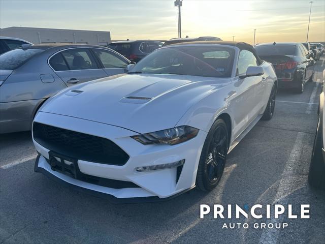 used 2019 Ford Mustang car