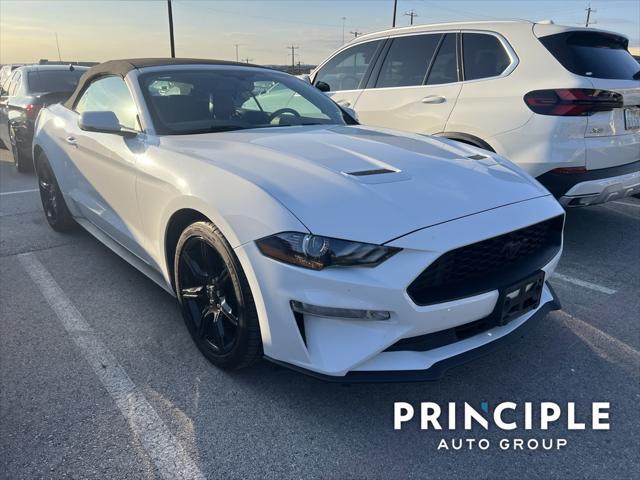 used 2019 Ford Mustang car