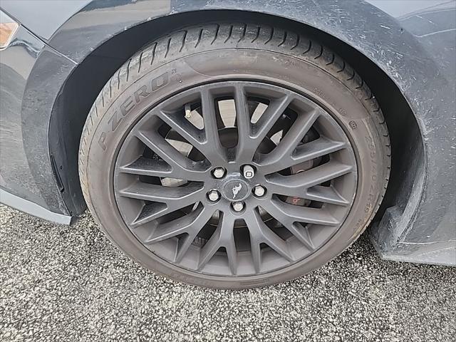 used 2021 Ford Mustang car