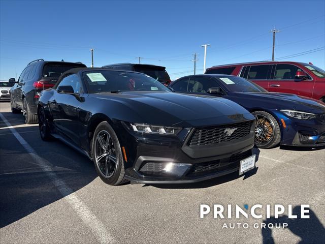 used 2024 Ford Mustang car