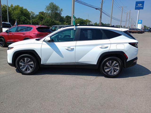 used 2022 Hyundai Tucson Hybrid car, priced at $21,999