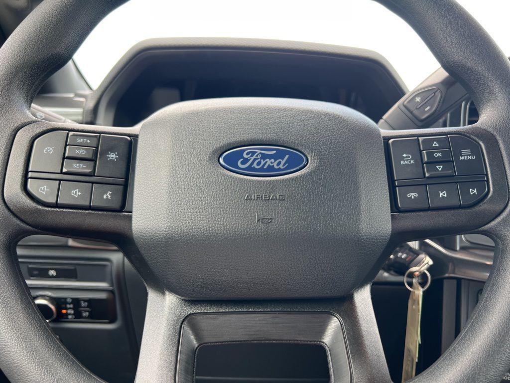 new 2025 Ford F-150 car, priced at $48,167