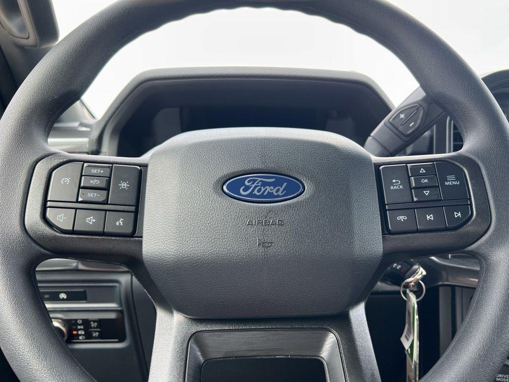 new 2025 Ford F-150 car, priced at $49,250