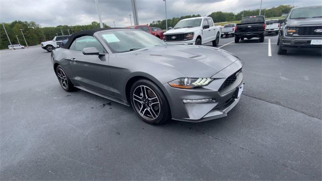 used 2023 Ford Mustang car, priced at $25,990