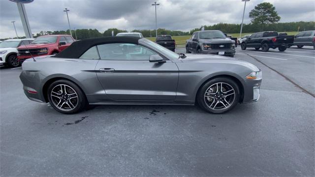 used 2023 Ford Mustang car, priced at $25,990