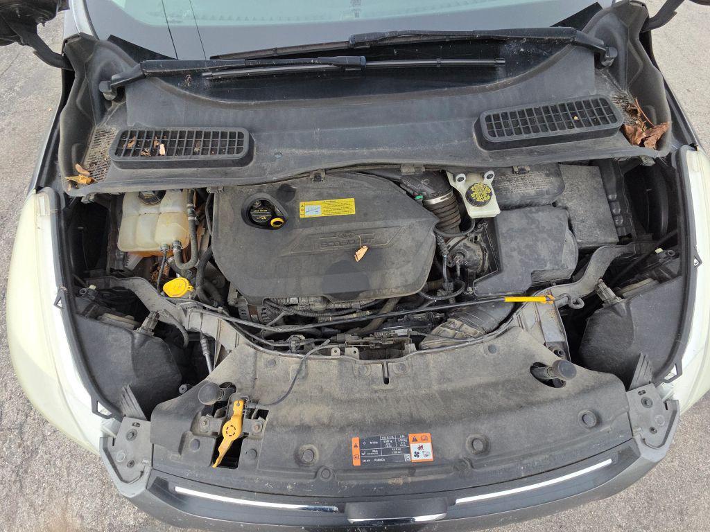 used 2014 Ford Escape car, priced at $5,900