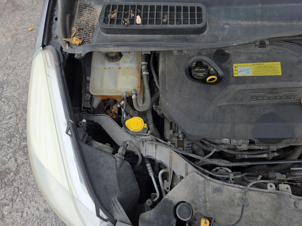 used 2014 Ford Escape car, priced at $5,900